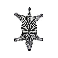 Matto Zebra, Classic Collection