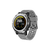 SW-660 Smartwatch Grey, Denver