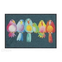 Ovimatto Rainbow Birds 50x75 cm, Salonloewe
