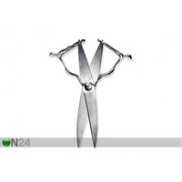 Sakset ID, Mukul Goyal