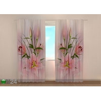 Puolipimentävä verho Princess Lilies 240x220 cm, Wellmira