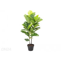 TekopuuFiddle leaf 190 cm, Home4you