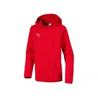 Lasten huppari Puma Liga Casuals Hoody JR 655636 01