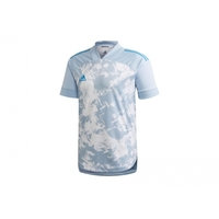 Miesten jalkapallopaita adidas Condivo 20 Jersey M FI4221, Adidas