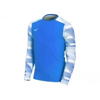 Lasten maalivahdin paita Nike Dry Park IV JSY LS JR CJ6072-463