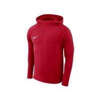 Miesten huppari Nike Dry Academy18 Hoodie PO M AH9608-657