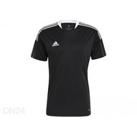 Miesten jalkapallopaita Adidas Tiro 21 Training Jersey