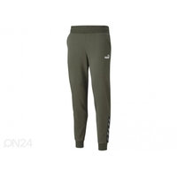 Naisten collegehousut Puma power Pants FL cl Grape Lea