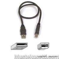 USB-kaapeli, tulostinkaapeli 3 metriä