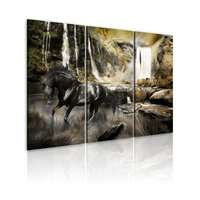 Kuva - Black horse and rocky waterfall, DecorDecor
