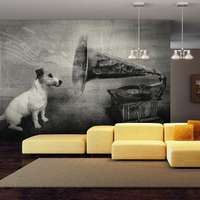 Fototapetti - Dogs melodies, DecorDecor