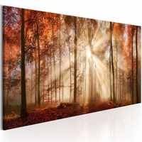 Kuva - Autumnal Dawn, DecorDecor