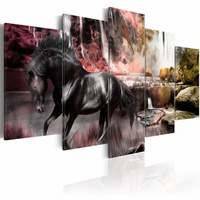 Kuva - Black horse on crimson sky background, DecorDecor