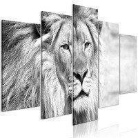 Kuva - The King of Beasts (5 Parts) Wide Black and White, DecorDecor