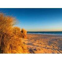 Wallpaper Mural Dunes Chelsea Beach Australia, Papermoon