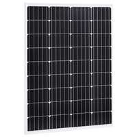 vidaXL Aurinkopaneeli 100 W yksikiteinen alumiini ja turvalasi
