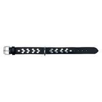 Trixie Active Dog Collar With Studs