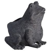 Freddie The Frog Plant Pot Holder, Hill Interiors