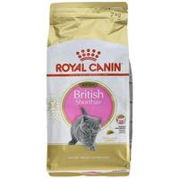 Royal Canin British Short Hair Kitten Food