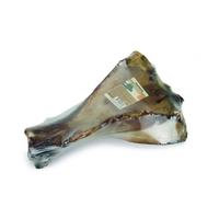 Beeztees Beef Paddle Bone for Dogs