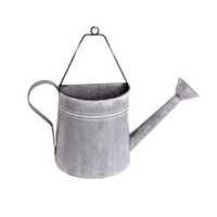 Watering Can Wall Planter, Generic