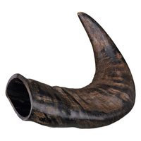 Trixie Genuine Buffalo Chewing Horn