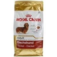 Royal Canin Dachshund Food
