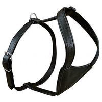 Trixie Active Dog Harness