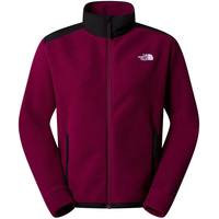 The North Face Women's Alp Polartech 200 Full Zip Jacket