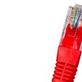 CAT5E UTP RJ45 Ethernet-kaapeli 0.25m Punainen