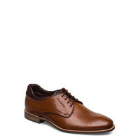 Massimo Shoes Business Laced Shoes Ruskea Lloyd