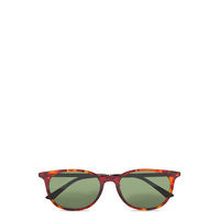 Gg0830sk Aurinkolasit Ruskea Gucci Sunglasses