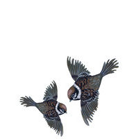 Wall Sticker Flying Sparrows Home Kids Decor Wall Stickers Monivärinen/Kuvioitu That's Mine