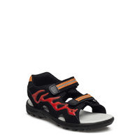 Firefly Pax Sandal Shoes Summer Shoes Sandals Musta PAX