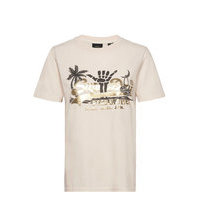 Vl Itago Tee T-shirts & Tops Short-sleeved Vaaleanpunainen Superdry