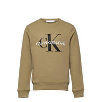 Monogram Logo Sweatshirt Svetari Collegepaita Vihreä Calvin Klein