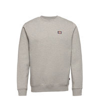 Oakport Sweatshirt Svetari Collegepaita Harmaa Dickies