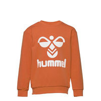 Hmldos Sweatshirt Svetari Collegepaita Oranssi Hummel