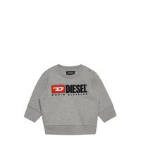 Screwdivisionb Sweat-Shirt Svetari Collegepaita Harmaa Diesel