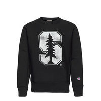 Crewneck Sweatshirt Svetari Collegepaita Musta Champion Reverse Weave