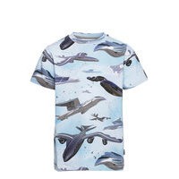 Ralphie T-shirts Short-sleeved Sininen Molo