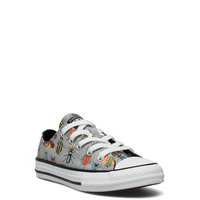 Ctas Ox Ash St /Black/Bright Poppy Matalavartiset Sneakerit Tennarit Harmaa Converse