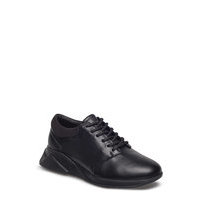 Force Derby Shoe Wmn Matalavartiset Sneakerit Tennarit Musta Royal RepubliQ