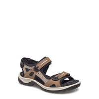 Offroad Shoes Summer Shoes Flat Sandals Ruskea ECCO