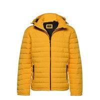 Hooded Fuji Jacket Vuorillinen Takki Topattu Takki Keltainen Superdry