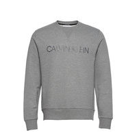 Multi Embroidery Sweatshirt Svetari Collegepaita Harmaa Calvin Klein