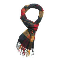 New Check Tartan Scarf Accessories Scarves Winter Scarves Monivärinen/Kuvioitu Barbour