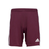 Squad 21 Sho Shorts Sport Shorts Punainen Adidas Performance, adidas Performance