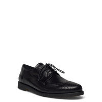 Shoes - Flat - With Lace Shoes Business Brogues Musta ANGULUS