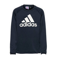 Designed To Move Big Logo Sweatshirt Svetari Collegepaita Sininen Adidas Performance, adidas Performance